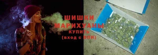 шишки Кострома