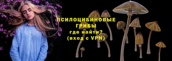 ПСИЛОЦИБИНОВЫЕ ГРИБЫ Киров